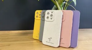 Coque en paille de blé