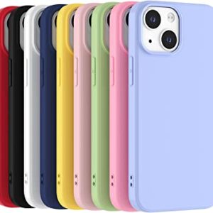 Différents types de coques